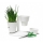 Normann - Herb Stand