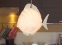 ZooLight - Fisk