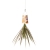 Boskke - Sky Planter Mini 3 pack Flora & Fauna
