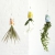 Boskke - Sky Planter Mini 3 pack Flora & Fauna