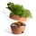 Black+Blum - Hot Pot Grill