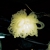 Innermost - KAPOW - Lampesk�rm
