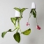 Boskke - Sky Planter Recycled Large