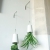 Boskke - Sky Planter V�gbeslag